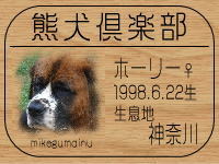 �I�[�i�[�́Alozy����ł���